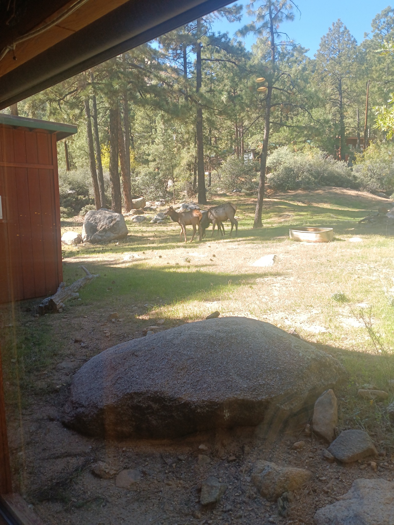 571144516_1198034992371869_3484440549698646257_n