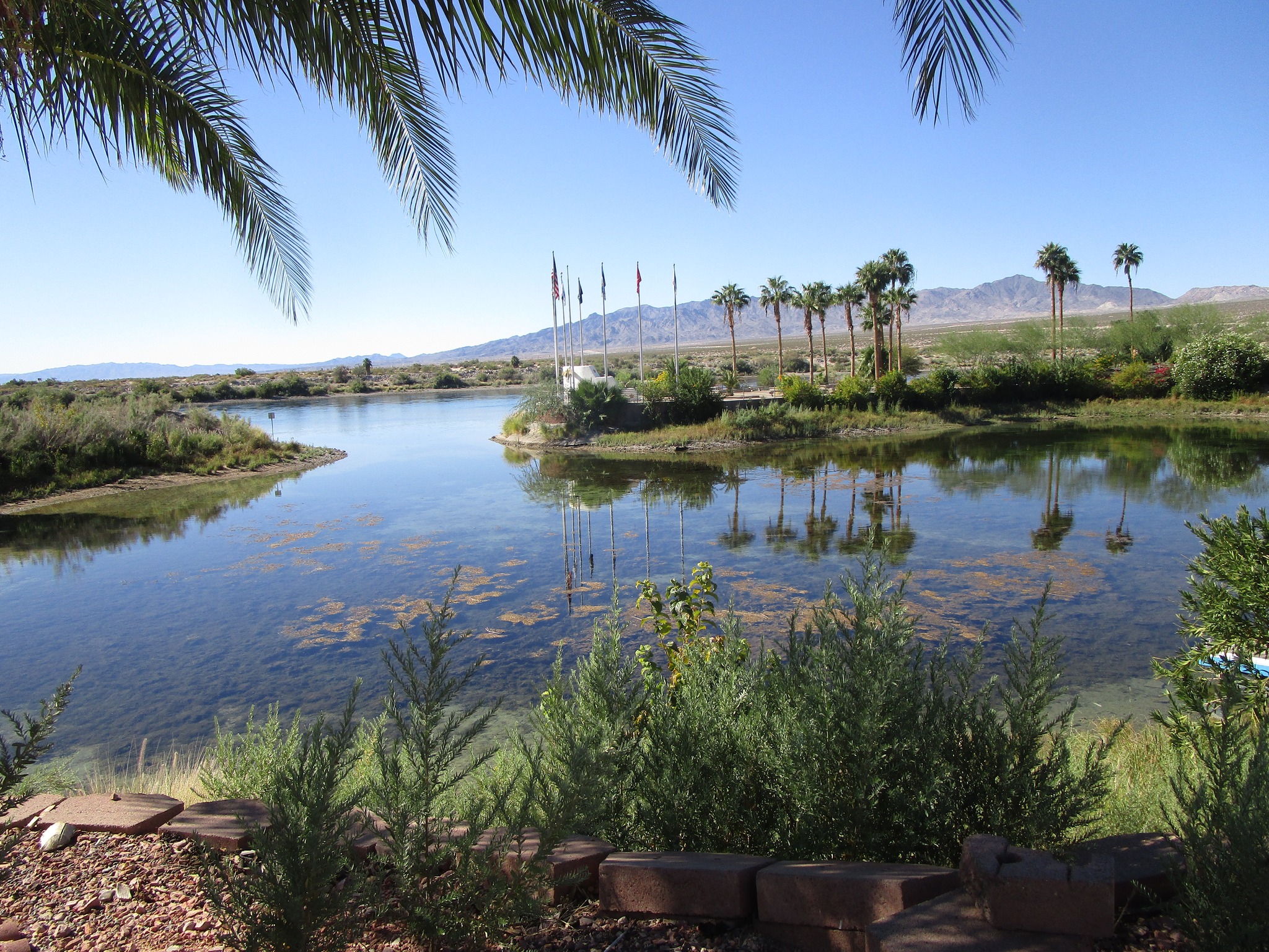 571188258_1198033975705304_396709638739723298_n