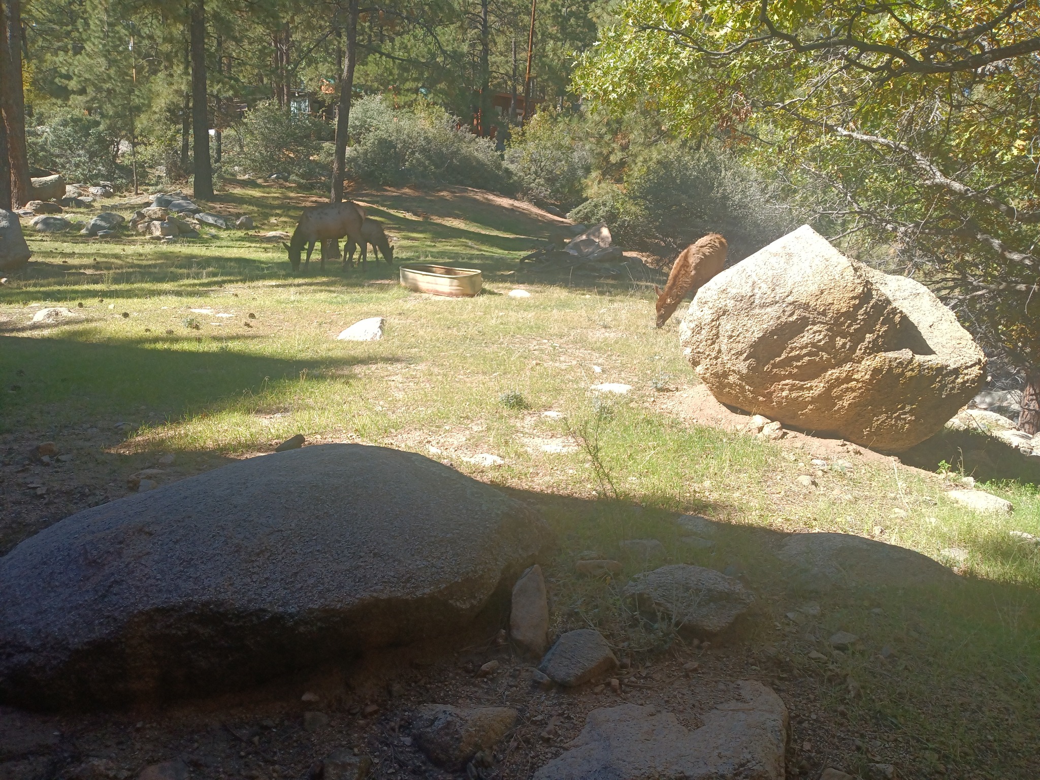 571194364_1198036395705062_8528024659158769877_n